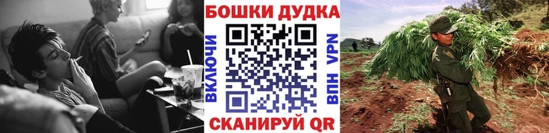 Купить  Ельня  Каннабис гибрид 
